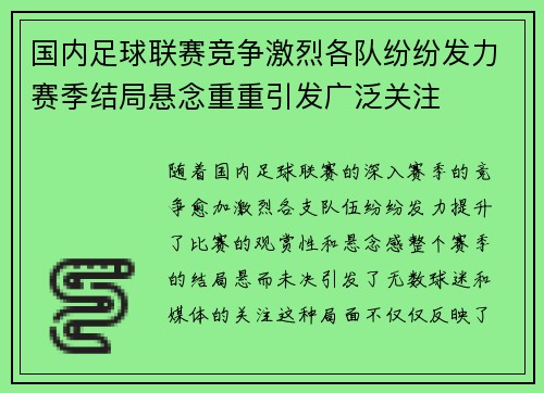 国内足球联赛竞争激烈各队纷纷发力赛季结局悬念重重引发广泛关注