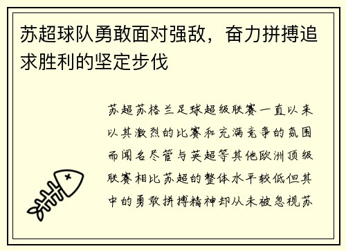 苏超球队勇敢面对强敌，奋力拼搏追求胜利的坚定步伐