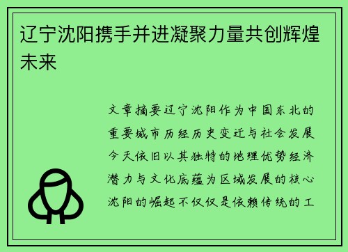 辽宁沈阳携手并进凝聚力量共创辉煌未来